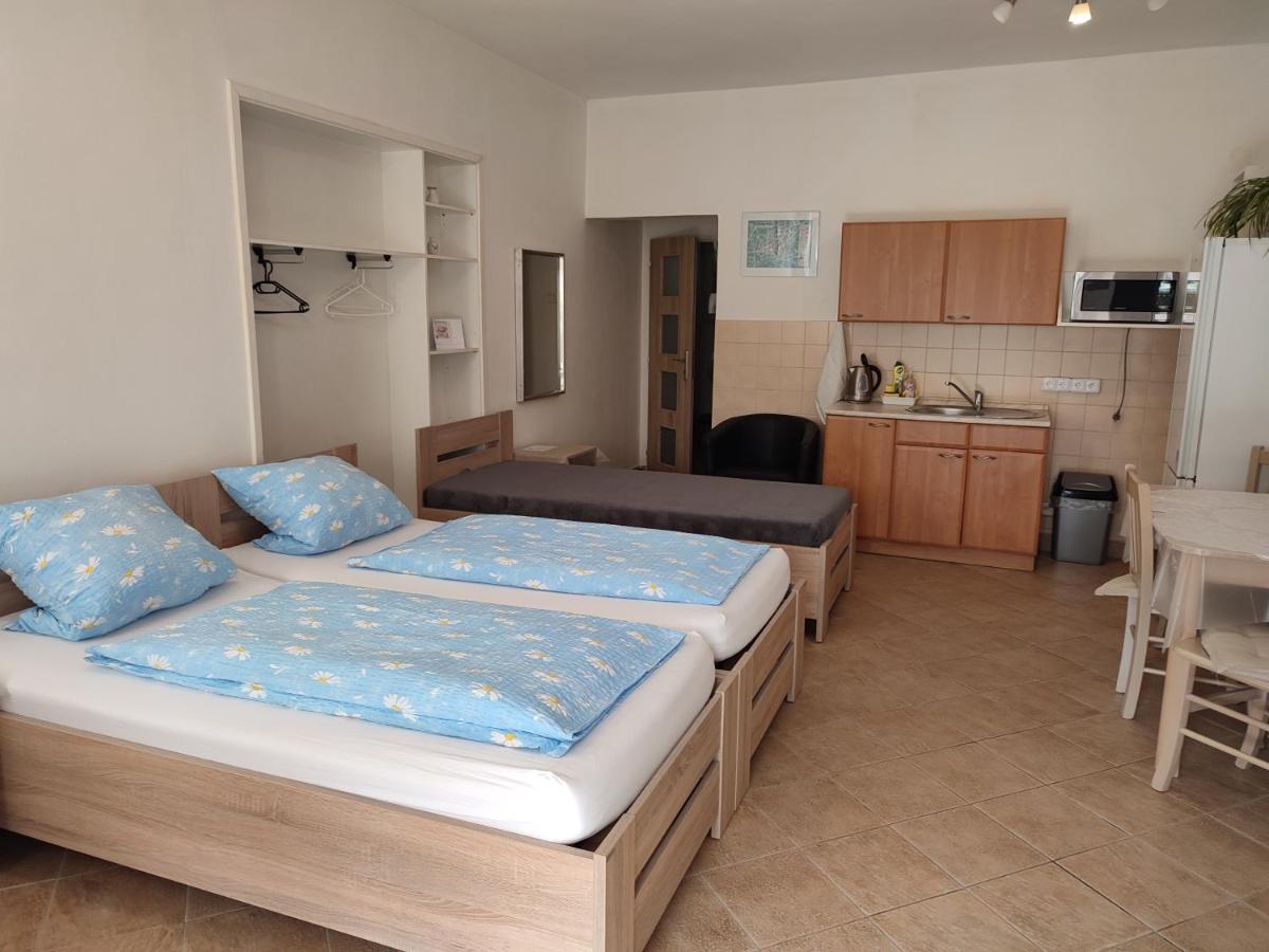 Pension Dana Karaskova Apartment Kutná Hora Екстериор снимка
