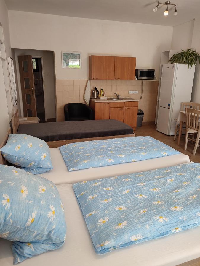 Pension Dana Karaskova Apartment Kutná Hora Екстериор снимка
