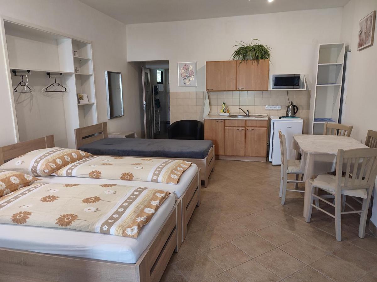 Pension Dana Karaskova Apartment Kutná Hora Екстериор снимка