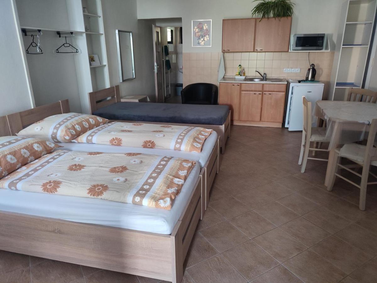 Pension Dana Karaskova Apartment Kutná Hora Екстериор снимка