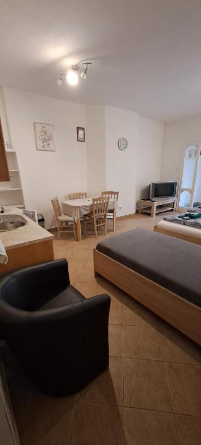 Pension Dana Karaskova Apartment Kutná Hora Екстериор снимка