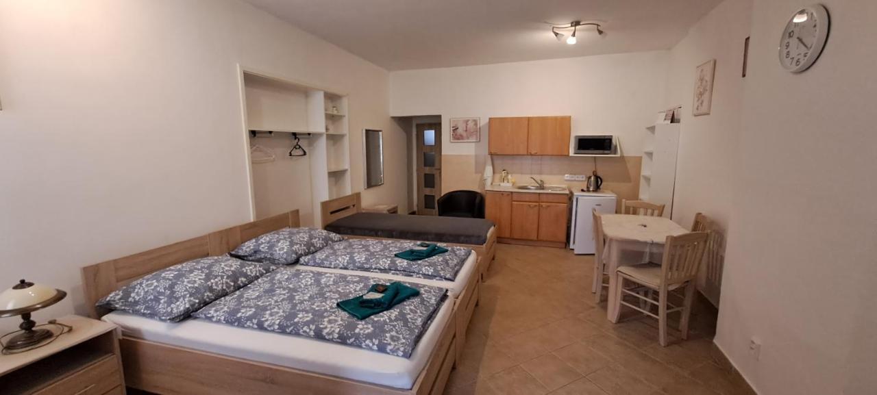 Pension Dana Karaskova Apartment Kutná Hora Екстериор снимка