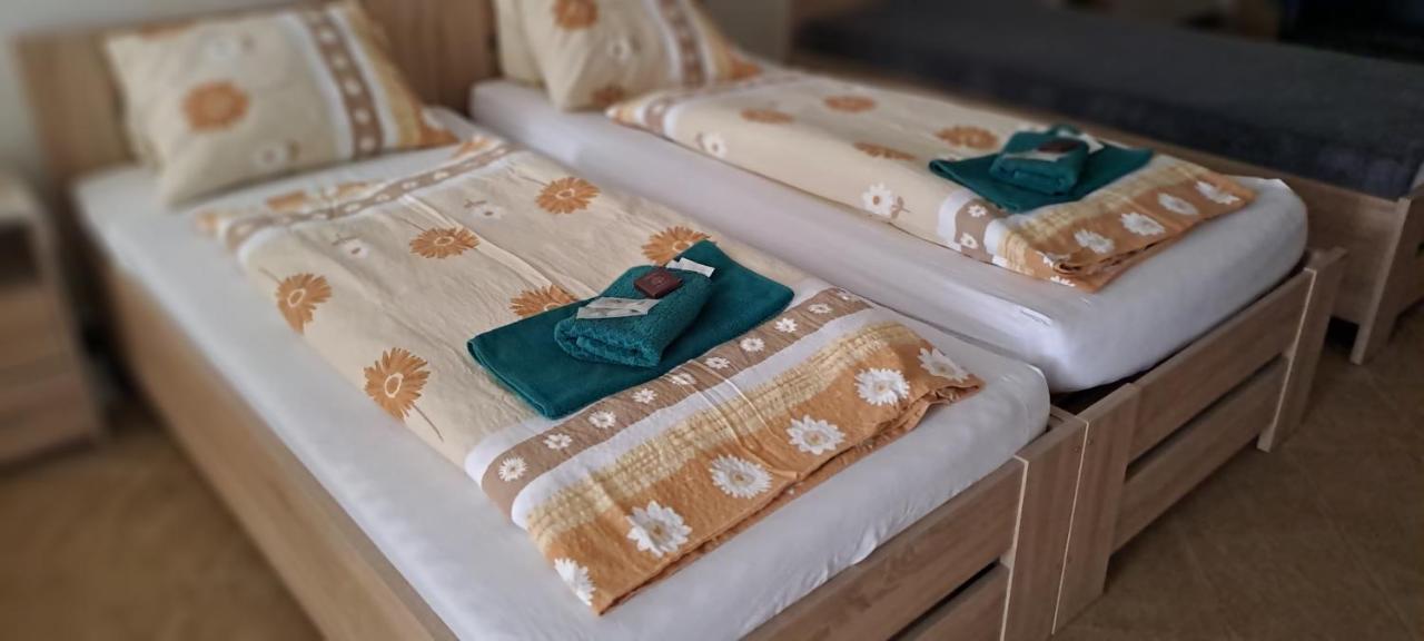 Pension Dana Karaskova Apartment Kutná Hora Екстериор снимка