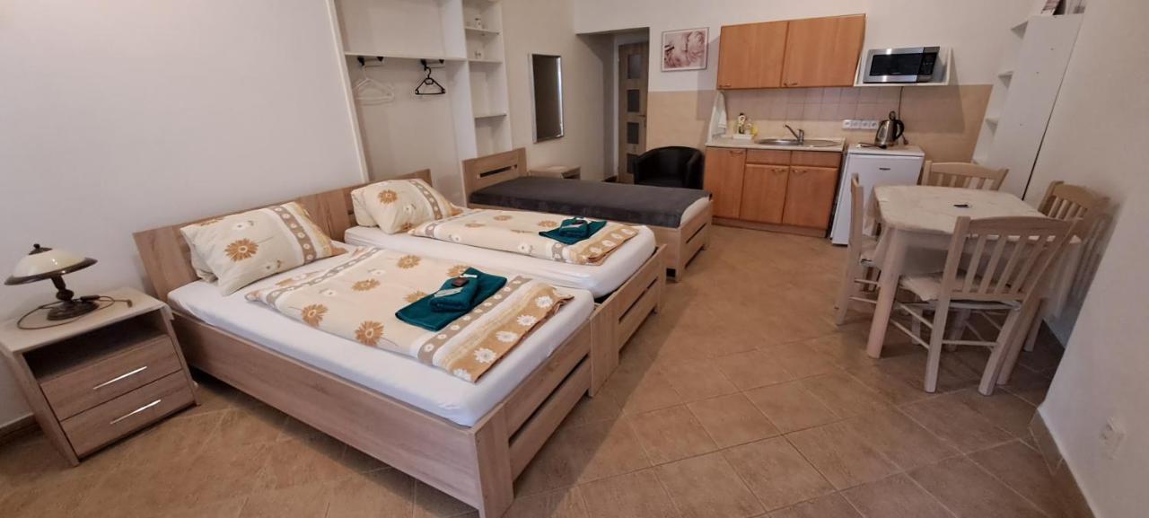 Pension Dana Karaskova Apartment Kutná Hora Екстериор снимка