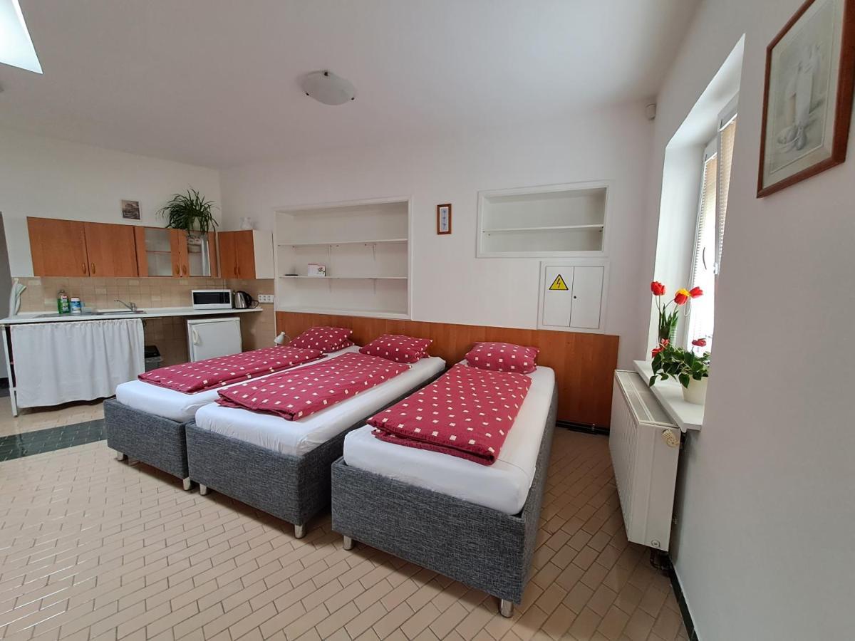 Pension Dana Karaskova Apartment Kutná Hora Екстериор снимка