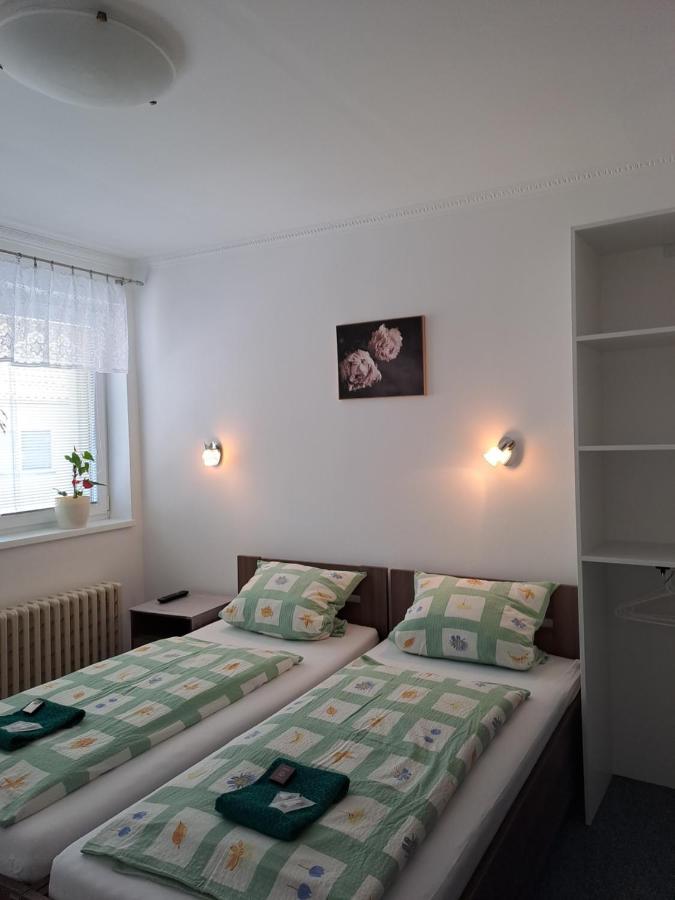 Pension Dana Karaskova Apartment Kutná Hora Екстериор снимка