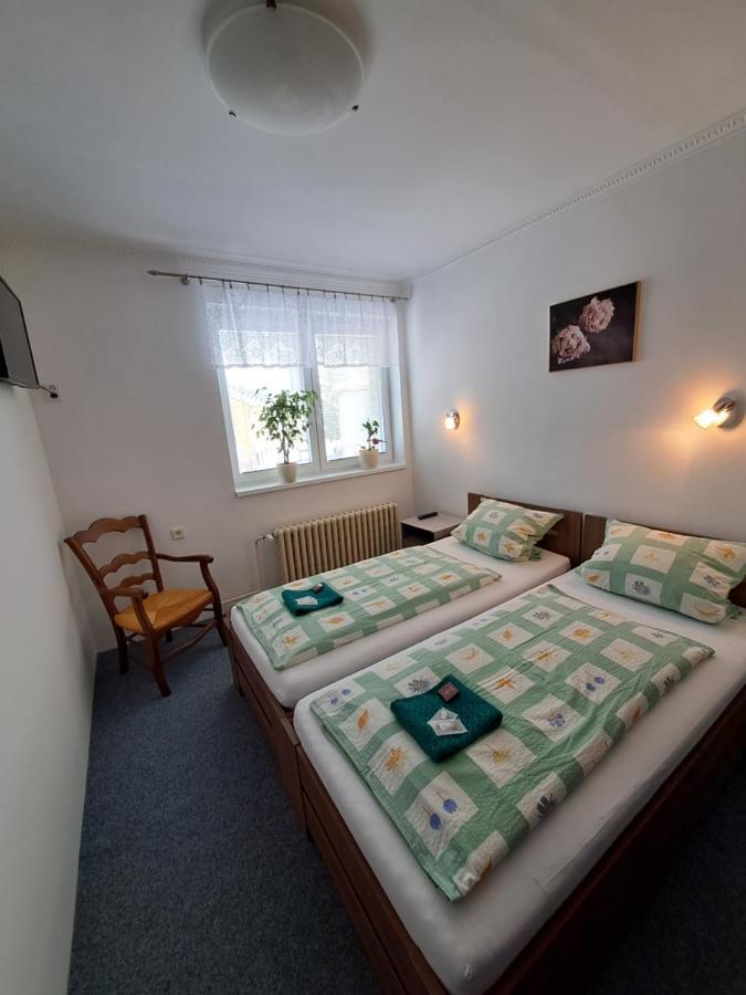 Pension Dana Karaskova Apartment Kutná Hora Екстериор снимка