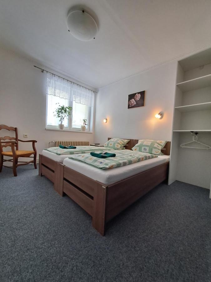 Pension Dana Karaskova Apartment Kutná Hora Екстериор снимка