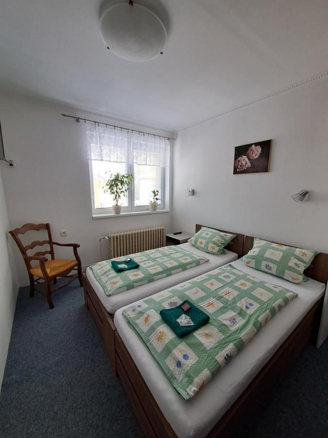 Pension Dana Karaskova Apartment Kutná Hora Екстериор снимка