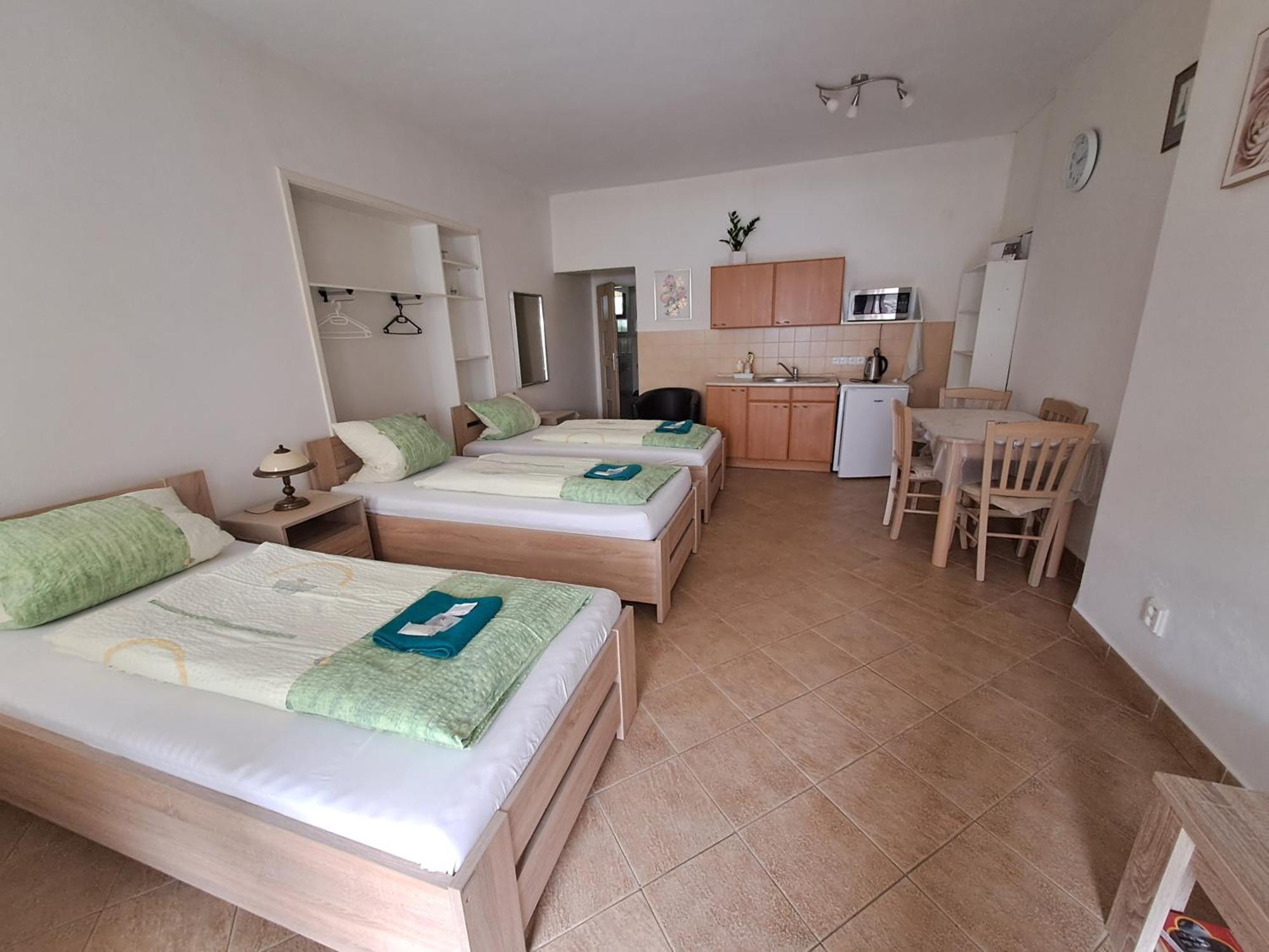 Pension Dana Karaskova Apartment Kutná Hora Екстериор снимка